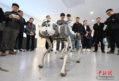 未来已来 科技“新秀”机器